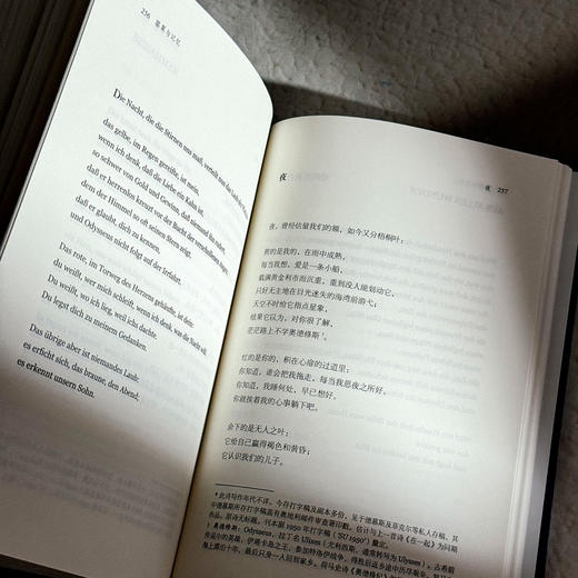 罂粟与记忆 保罗·策兰诗全集 第二卷 德汉对照注释本 六点图书 商品图13