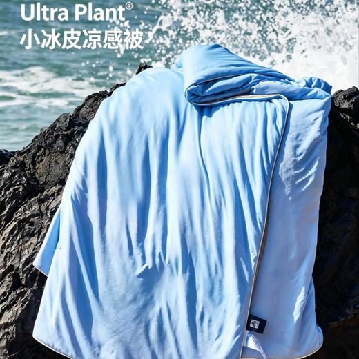 热卖中！ULTRA Plant 冰丝夏凉被 商品图2