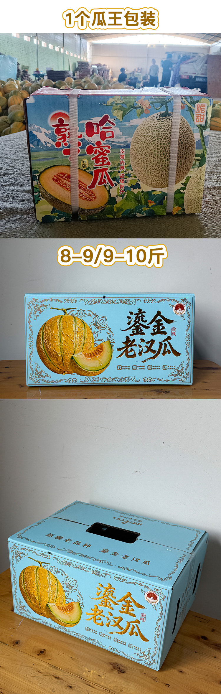 未标题-2.jpg
