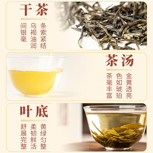 【魔造】老北京茉莉花茶100g 商品图3