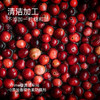“下单赠果粉勺1个”几分之几 北欧越橘蔓越莓粉 保留果肉颗粒 保量更多营养 北欧瑞典芬兰森林采摘原料进口 新式果实萃取粉 70g/盒 商品缩略图9