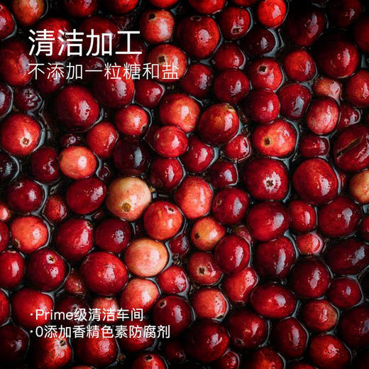 “下单赠果粉勺1个”几分之几 北欧越橘蔓越莓粉 保留果肉颗粒 保量更多营养 北欧瑞典芬兰森林采摘原料进口 新式果实萃取粉 70g/盒 商品图9