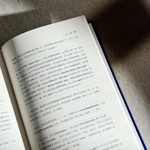 暗蚀  保罗·策兰诗全集 第八卷 德汉对照注释本 商品图13