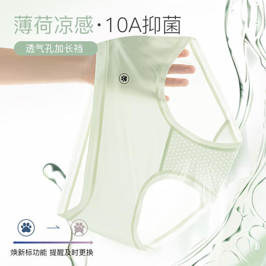 凉！薄！透！整条10A抗菌！纤黛希 薄荷凉感益生菌内裤 凉感透气 丝滑贴合 3801 商品图2