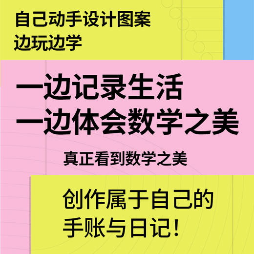 数学奇妙笔记本：线条的秩序，放飞的思想 商品图2