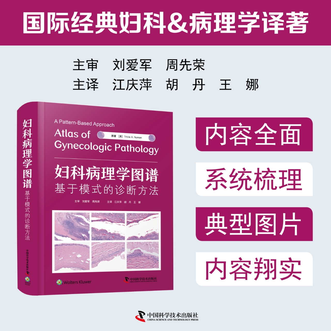 2026重磅新书  妇科病理学图谱：基于模式的诊断方法 国际经典妇科病理学译著