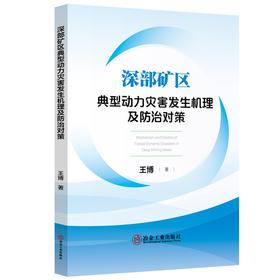 深部矿区典型动力灾害发生机理及防治对策