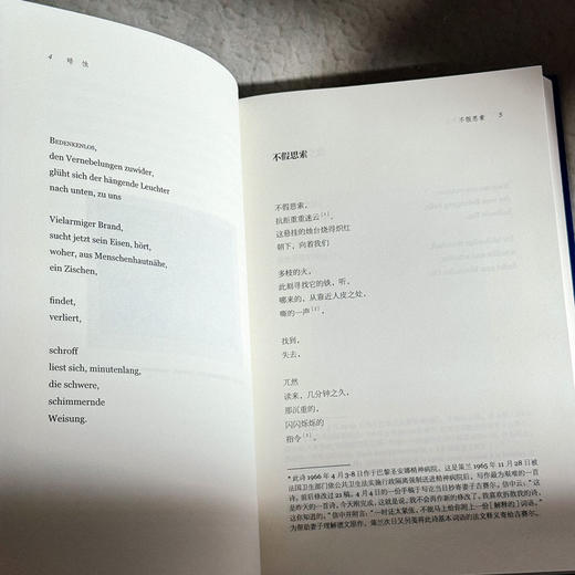 暗蚀  保罗·策兰诗全集 第八卷 德汉对照注释本 商品图9
