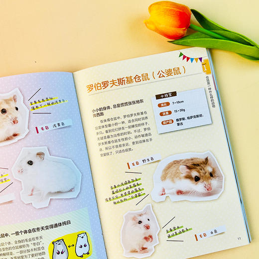 你好呀！小仓鼠：新手养育指南 商品图3