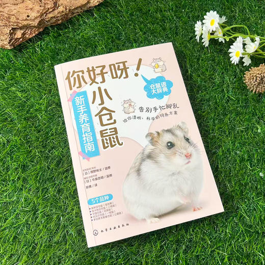 你好呀！小仓鼠：新手养育指南 商品图1