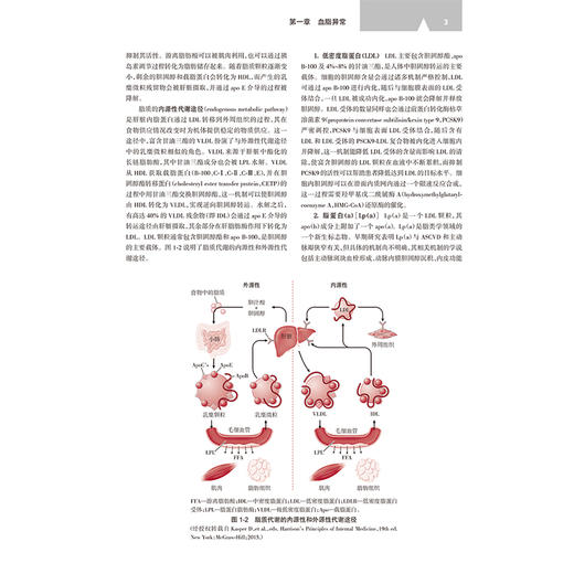 现代心脏病诊断与治疗 第6六版 郭继鸿 刘家琨 主译 简明扼要地阐述了各种心血管疾病的治疗要点 9787117390552 人民卫生出版社 商品图4