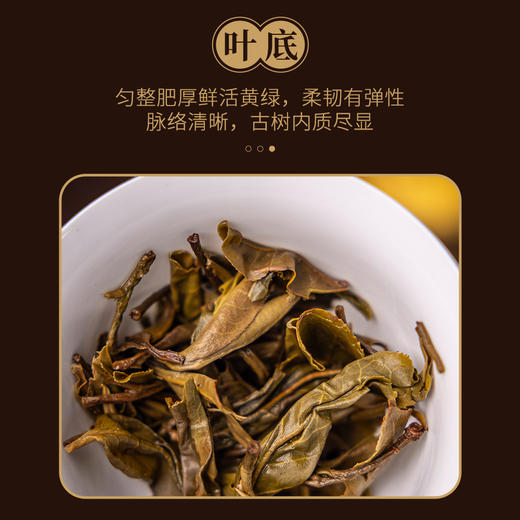 【定年】八年陈易武百花潭龙珠60g 商品图4