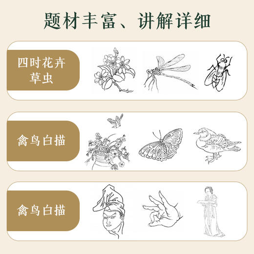 白描基础教程 商品图3