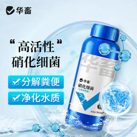 华畜硝化细菌鱼缸用净水剂养鱼净化水质稳定剂分解鱼粪消化活菌液