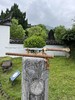 【新品】28寸浩宇唐刀 未开刃 商品缩略图1