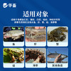 华畜 虹彩1号 草本萃取 免疫力强 阻击病毒 商品缩略图3