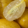 郁南黄皮 | 广东郁南特产 ! 一口水润爆汁，酸甜回甘 ! 夏日限定，金黄饱满诱人，晶莹剔透果肉 ! 剪枝发货，品种正宗 ! 商品缩略图6