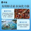 华畜虾青素溶液水产养殖用海洋南美白对虾蟹海参甲鱼诱食亮色促长 商品缩略图2