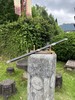 【新品】26寸白铜宸华剑（未开刃） 商品缩略图2