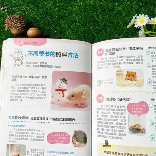 你好呀！小仓鼠：新手养育指南 商品图5