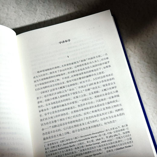 暗蚀  保罗·策兰诗全集 第八卷 德汉对照注释本 商品图7