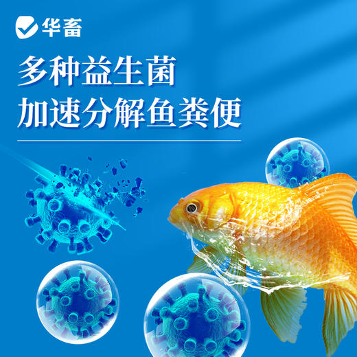 华畜硝化细菌鱼缸用净水剂养鱼净化水质稳定剂分解鱼粪消化活菌液 商品图2