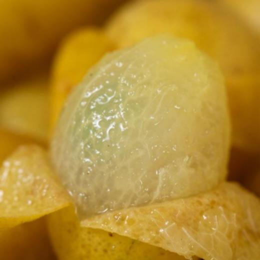 郁南黄皮 | 广东郁南特产 ! 一口水润爆汁，酸甜回甘 ! 夏日限定，金黄饱满诱人，晶莹剔透果肉 ! 剪枝发货，品种正宗 ! 商品图5