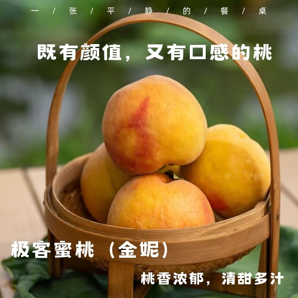 【预售】极客蜜桃（金妮） |果香浓郁，甜而不失香气，有颜值有口感，甜嫩润，到货会有变软的情况，不影响食用，不脆不售后，介意慎拍，冷藏口感更好⭐️顺丰空运