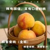 【预售】极客蜜桃（金妮） |果香浓郁，甜而不失香气，有颜值有口感，甜嫩润，到货会有变软的情况，不影响食用，不脆不售后，介意慎拍，冷藏口感更好⭐️顺丰空运 商品缩略图0
