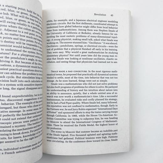 混沌 一门新科学的制作 英文原版 Chaos Making a New Science 开创新科学 詹姆斯格雷克 James Gleick 英文版进口原版英语书籍 商品图4