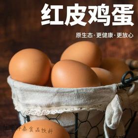 【YC】红皮鸡蛋
