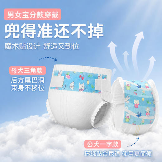 嗨派狗狗纸尿裤宠物尿片狗狗生理裤公狗母狗犬用纸尿裤吸水防渗漏 商品图1
