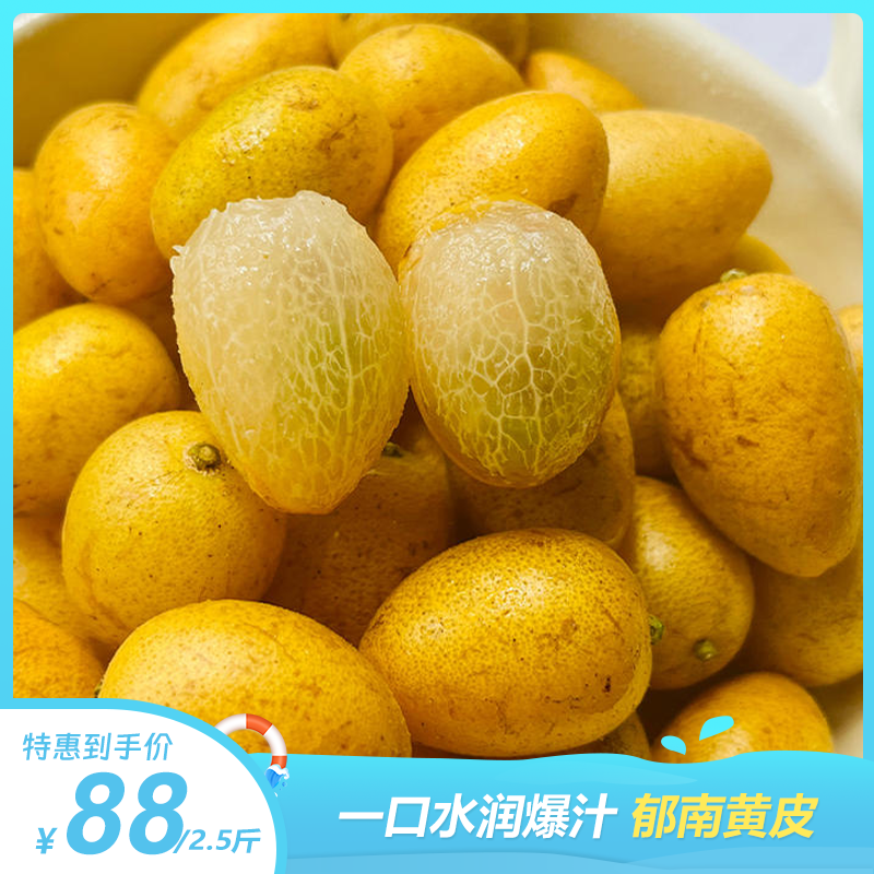 郁南黄皮 | 广东郁南特产 ! 一口水润爆汁，酸甜回甘 ! 夏日限定，金黄饱满诱人，晶莹剔透果肉 ! 剪枝发货，品种正宗 !