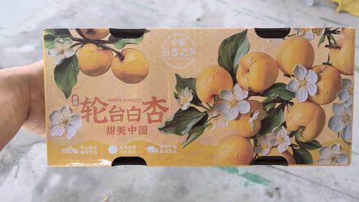 【杏中爱马仕】新疆轮台小白杏 甜蜜爆汁 树上熟 特级精品果 现摘现发 新疆果园直发 顺丰包邮 商品图14