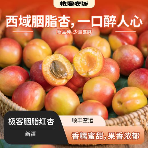 极客胭脂红杏丨香糯蜜甜，果香浓郁，错峰发货，会有带点青色的，先挑红黄的吃。⭐️顺丰空运 商品图0