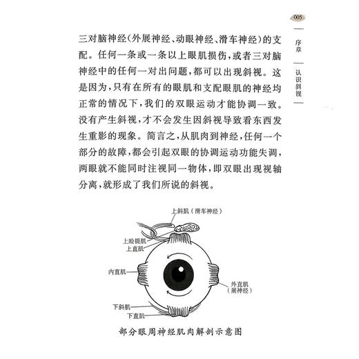 斜视 护眼问道中医针灸丛书 王念宏 主编 重点介绍了中医针灸治疗斜视的整体调治优势 适用类型及特色疗法 上海科学技术出版社 商品图4