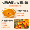 福寿康宁沙棘原浆（袋装） 商品缩略图1