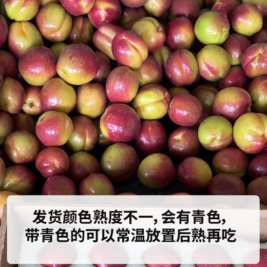 极客胭脂红杏丨香糯蜜甜，果香浓郁，错峰发货，会有带点青色的，先挑红黄的吃。⭐️顺丰空运 商品图8