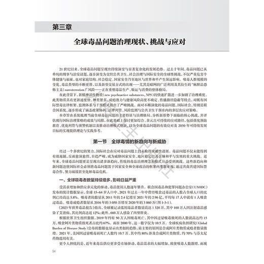 成瘾医学 理论与实践 第2二版 郝伟 赵敏 李锦 本书旨在服务从事戒毒工作的所有人员 如精神科医师内科医师人员等 人民卫生出版社 商品图4
