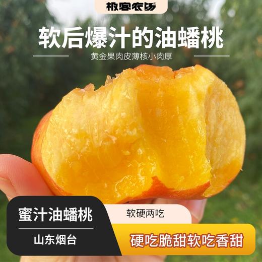 极客蜜汁油蟠桃、黄金油桃丨放软后再吃甜度更高，外观会有轻微干疤，介意慎拍⭐️京东快递 商品图0