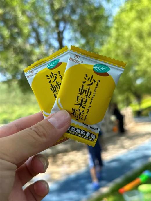 棘致匠心沙棘果糕 商品图9
