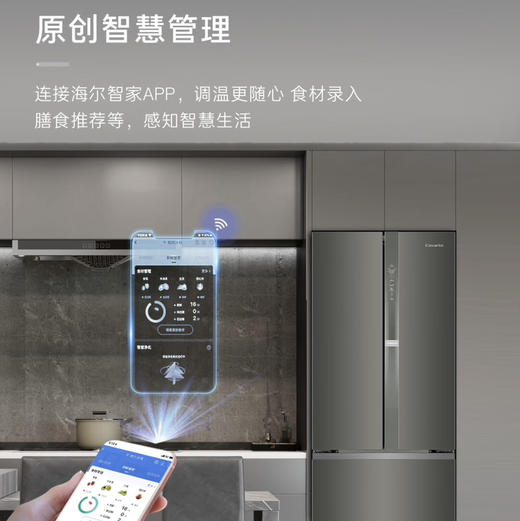卡萨帝（Casarte）冰箱 BCD-533WGCFDM4WKU1(灰) 商品图11