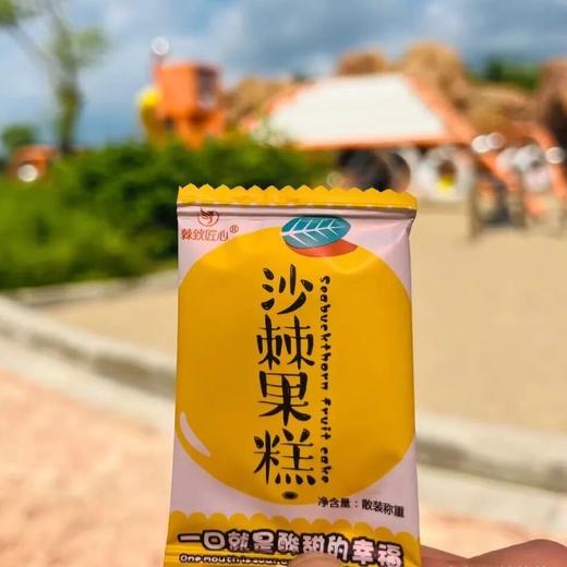棘致匠心沙棘果糕 商品图8