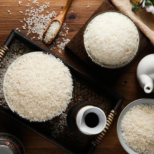 麦德龙 宜客 长粒香 5kg 商品图4