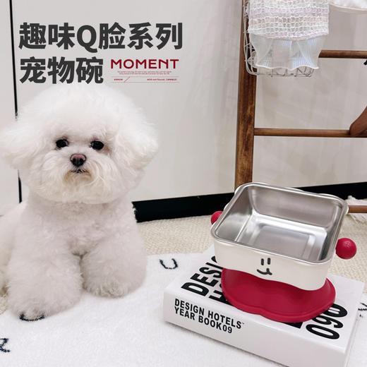 圆形高脚不锈钢猫碗宠物碗猫咪用品喂食饮水猫咪喝水碗狗狗食盆碗 商品图3