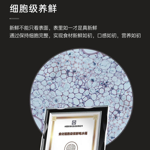 卡萨帝（Casarte）冰箱 BCD-533WGCFDM4WKU1(灰) 商品图5