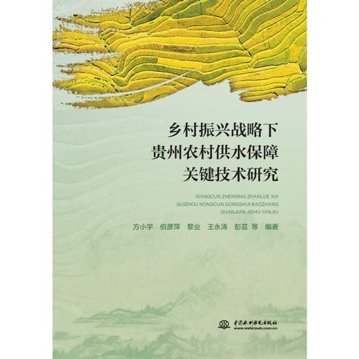 乡村振兴战略下贵州农村供水保障关键技术研究 商品图0