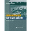 溃坝次生衍生灾害演化机制及风险评估 商品缩略图0
