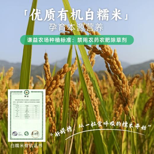真材实料 自然甜香 | 谦益香畴醪糟/甜米酒 0添加酒酿 白糯米小罐发酵 食材零食 418g/瓶 商品图8