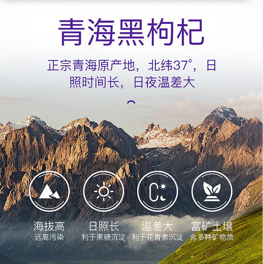 福寿康宁黑枸杞原浆 商品图5